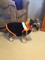 IMG_1807.jpeg