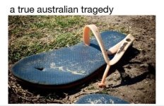 1701693651299.jpeg