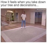 1704581572977.jpeg