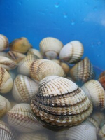 1705362104728.png