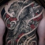 Tigerchief